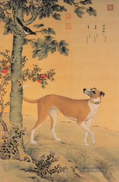  gelbe Galerie - Lang glänzt gelber Hund aus China Tinte Giuseppe Castiglione Hund
